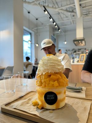 Snowy Village by null