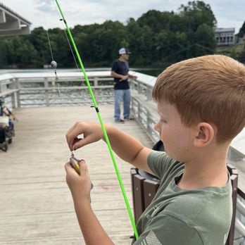 Fishing At Lake Blalock - Another fish for the crane with the ravenous appetite. - Fishing Near Me