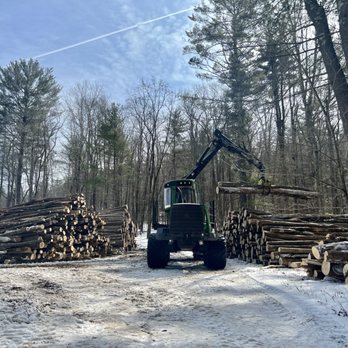 Cox & Company Inc Tree and Landscape Services - Landscaping Near Me - Penn Valley, Pennsylvania Cox & Company Inc Tree and Landscape Services - Landscaping Near Me - Penn Valley, Pennsylvania