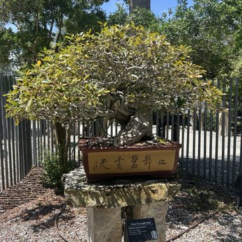 Heathcote Botanical Gardens - Venues & Event Spaces Near Me - Fort Pierce, Florida