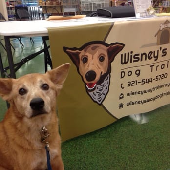 Wisney's Way Dog Training - Say hello to Batman - Pet Training Near Me - Melbourne, Florida