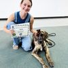 All Breed Dog Obedience Training gift card