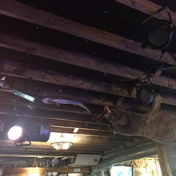 The Brown Baer - A bear hanging with a foot in its' mouth and a fish catching a beer can. - Bars Near Me - Elkhart Lake, Wisconsin