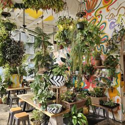 Yuko Kitchen DTLA - So green