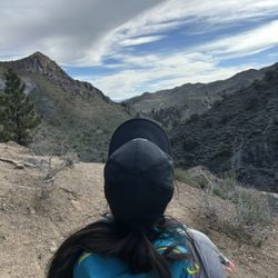 Michael D Thompson Trailhead - The view