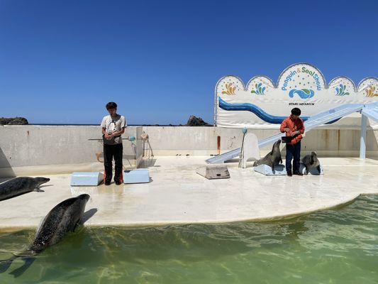Otaru Aquarium by null