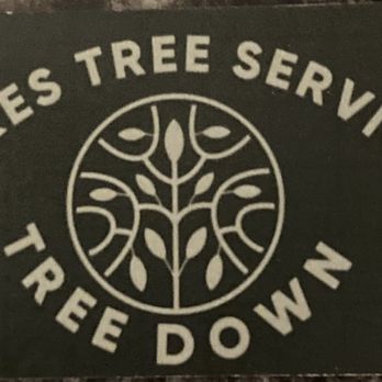 Mikes Tree Services - Business logo/card - Tree Services Near Me Mikes Tree Services - Business logo/card - Tree Services Near Me