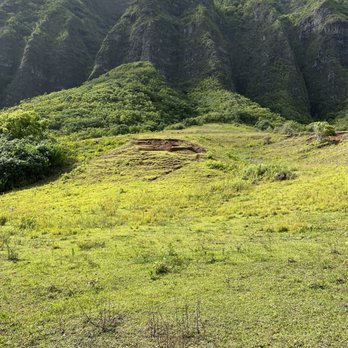 Kualoa Ranch - view from the tour bus - Tours Near Me - Kaneohe, Hawaii Kualoa Ranch - view from the tour bus - Tours Near Me - Kaneohe, Hawaii
