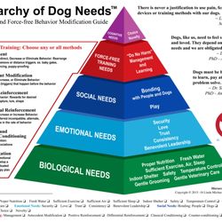Good Dogs Stay