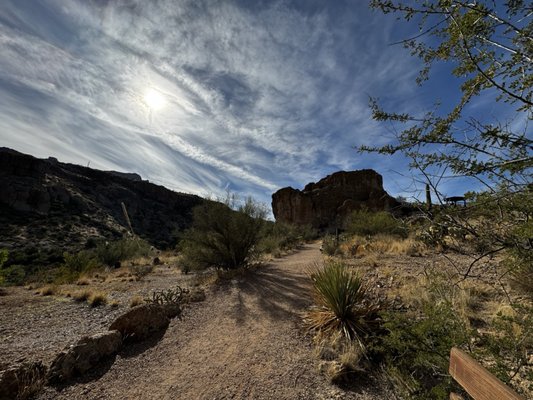Boyce Thompson Arboretum by null