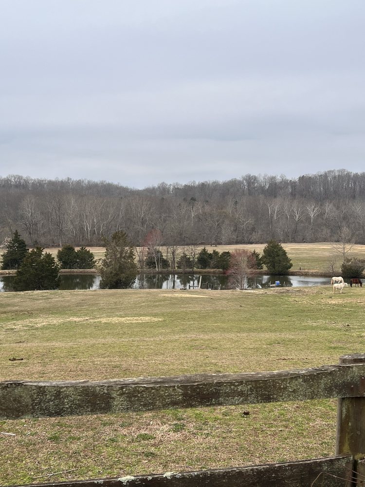 Tamarack Stables Rivers Edge - equestrian in Fredericksburg, VA