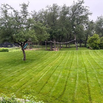 Top Choice Lawn Care - Bright and early - Landscaping Near Me - Austin, Texas Top Choice Lawn Care - Bright and early - Landscaping Near Me - Austin, Texas