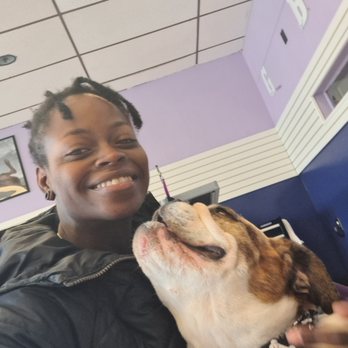 Grooming By Alicia - Pet Groomers Near Me - Webster, Massachusetts