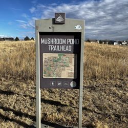 Savery Farm Mushroom Pond
