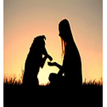 Mary's Pet Sitting - Pet Sitting Near Me - Bandon, Oregon Mary's Pet Sitting - Pet Sitting Near Me - Bandon, Oregon