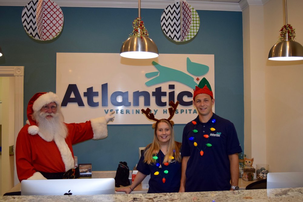 Atlantic Veterinary Hospital Image