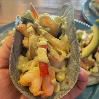 La Reyna - Authentic Mexican Cuisine - Mexican Near Me - Cooper City, Florida La Reyna - Authentic Mexican Cuisine - Mexican Near Me - Cooper City, Florida