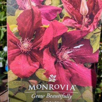 Kraemer's Garden - Nurseries & Gardening Near Me - McMinnville, Oregon