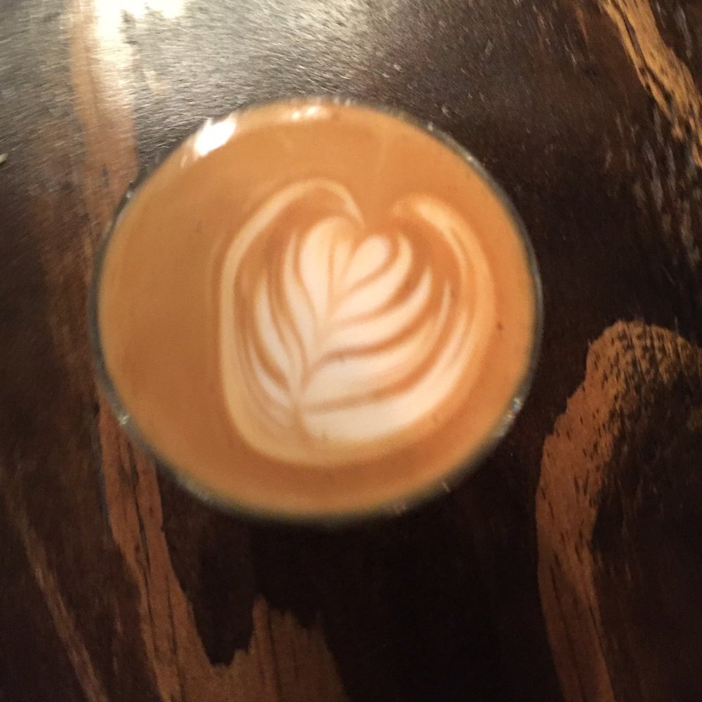 Five & Hoek Coffee - Cortado - Coffee & Tea Near Me - Wheaton, Illinois
