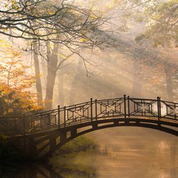 Bridge to Health - Let thy food be they medicine!