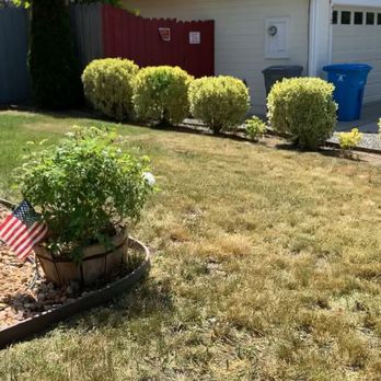 Get it Done yard cleanups - front yard - Landscaping Near Me Get it Done yard cleanups - front yard - Landscaping Near Me