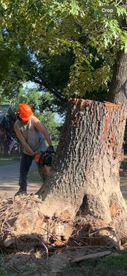 Cross Timbers Tree Service
