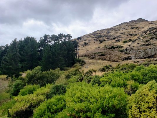 Christchurch Gondola by null