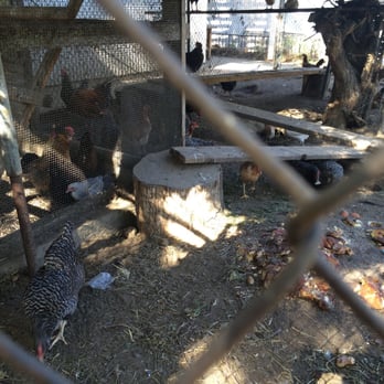 Hathaway Ranch Museum - Museums Near Me - Santa Fe Springs, California Hathaway Ranch Museum - Museums Near Me - Santa Fe Springs, California