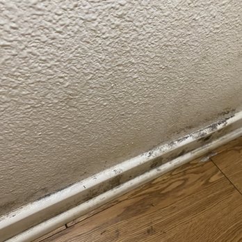 Professional Renovation Services - Damage Restoration Near Me