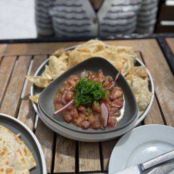Area 31 - Miami Poke Bowl - Seafood Near Me - Miami, Florida