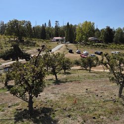 Meadow Lakes Apple