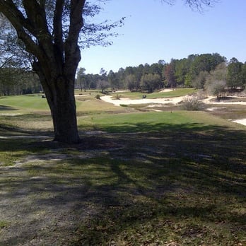 Roll Oaks Golf Course - Hole 15, Pine Barrens, March 7, 2013. - Golf Near Me - Brooksville, Florida Roll Oaks Golf Course - Hole 15, Pine Barrens, March 7, 2013. - Golf Near Me - Brooksville, Florida
