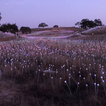 Sensorio - Lights. Getting dark - Art Galleries Near Me - Paso Robles, California Sensorio - Lights. Getting dark - Art Galleries Near Me - Paso Robles, California