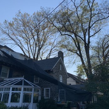 SavATree Mainline - Tree threatening house removed safely by Savatree. - Landscaping Near Me - Conshohocken, Pennsylvania SavATree Mainline - Tree threatening house removed safely by Savatree. - Landscaping Near Me - Conshohocken, Pennsylvania