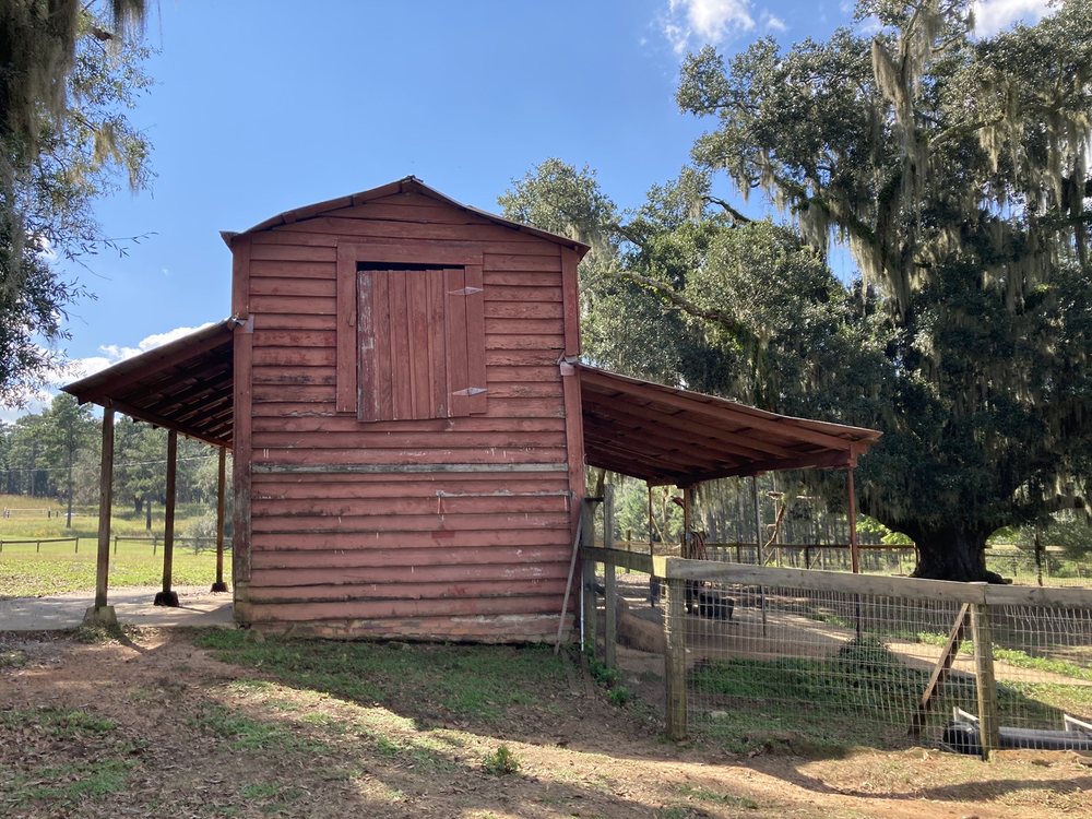 Millstone Institute For Preservation - childcare center in Tallahassee, FL