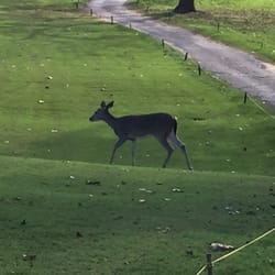 Stephen F Austin Golf Course