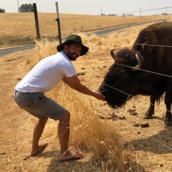 The Lodge at 14 Oaks Ranch - Feed buffalo!