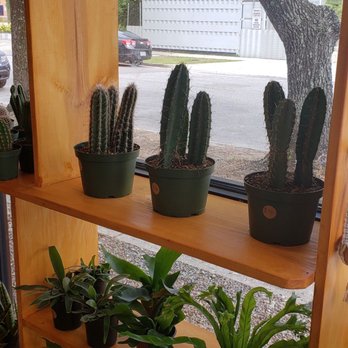The Plant Outpost - Nurseries & Gardening Near Me - Wilmington, North Carolina The Plant Outpost - Nurseries & Gardening Near Me - Wilmington, North Carolina