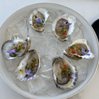 Myrtle & Rose Rooftop Bar - BeauSoleil Oysters (3) - Cocktail Bars Near Me - Savannah, Georgia Myrtle & Rose Rooftop Bar - BeauSoleil Oysters (3) - Cocktail Bars Near Me - Savannah, Georgia