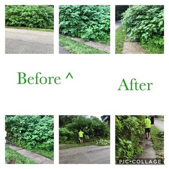 Arlington Green Mowers - Clearing a path on Eddy Road for our neighbors while waiting on the city to fix it. - Lawn Services Near Me Arlington Green Mowers - Clearing a path on Eddy Road for our neighbors while waiting on the city to fix it. - Lawn Services Near Me