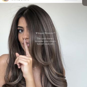 L2 Beauty Salon - Reference photo. I wanted brown but a hint of lightness. - Hair Salons Near Me - Millbrae, California