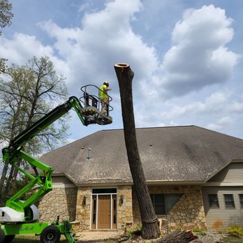 Scott Lorenz Tree Service - Tree Services Near Me Scott Lorenz Tree Service - Tree Services Near Me