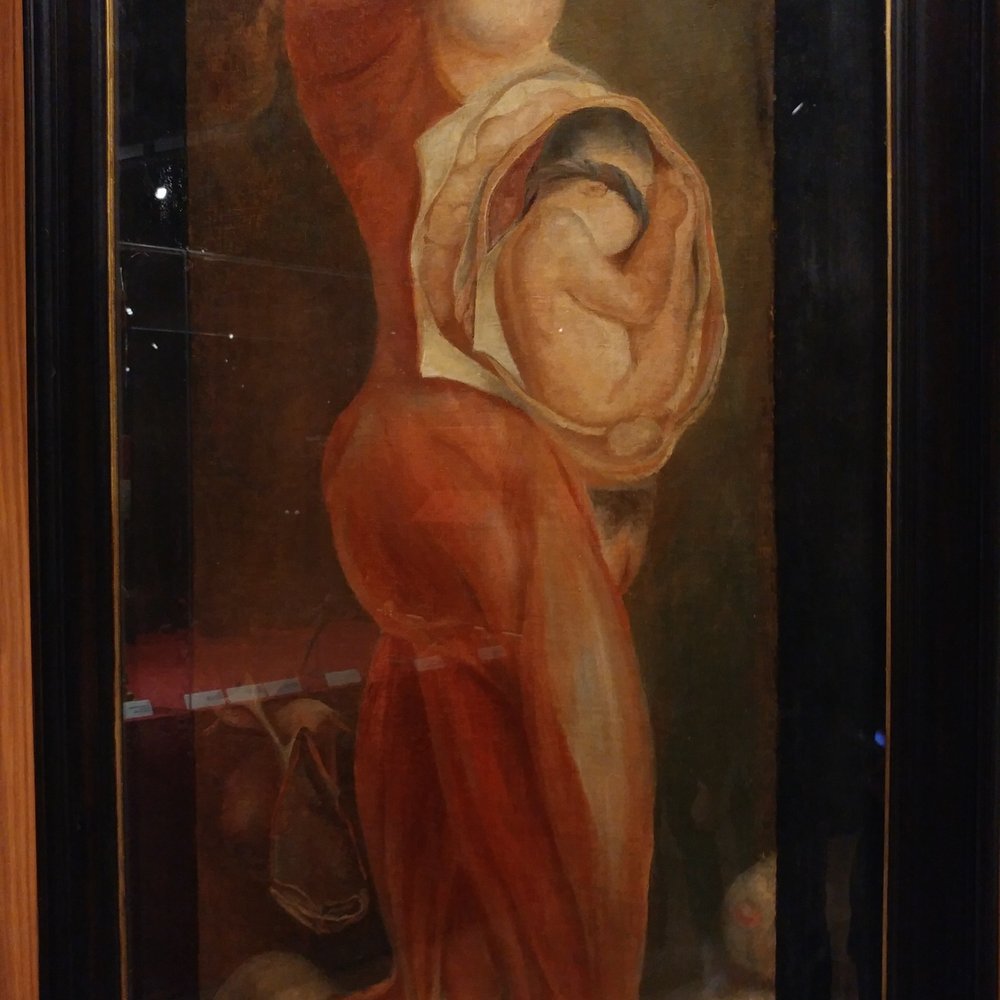 Wellcome Collection - O_O - Museums Near Me - London, XGL