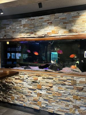 Ichiban Japanese Steakhouse & Sushi Bar by null