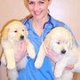 Photo of Bern-Sabetha Veterinary Clinic, PA