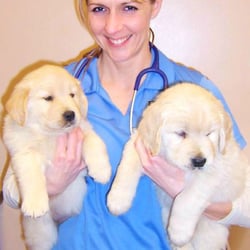 Bern-Sabetha Veterinary Clinic, PA - Dr. Melissa Detweiler