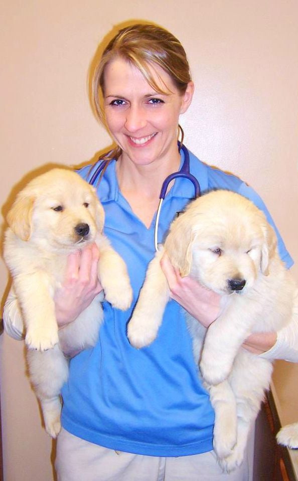 BERNSABETHA VETERINARY CLINIC, PA Updated August 2024 12 Photos