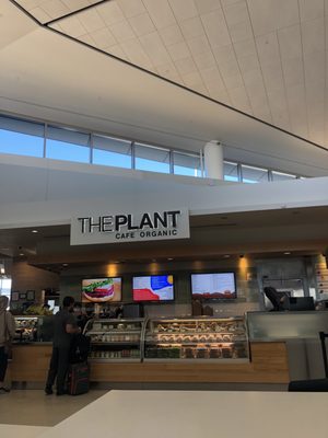 The Plant Café Organic by null