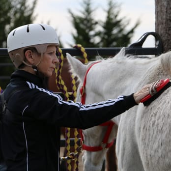 Pate Rehabilitation - Programs like equine assisted therapy - Physical Therapy Near Me - Irving, Texas Pate Rehabilitation - Programs like equine assisted therapy - Physical Therapy Near Me - Irving, Texas