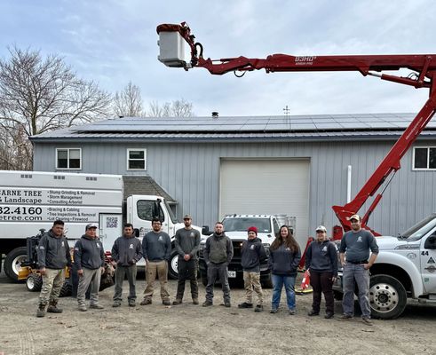 Malcarne Tree PHC & Landscape